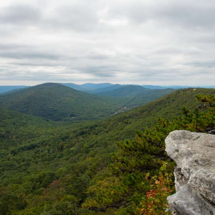 The view from Eagle Rock Near Eagle Rock