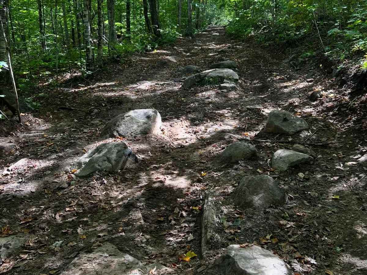 Oxbow photo 5
