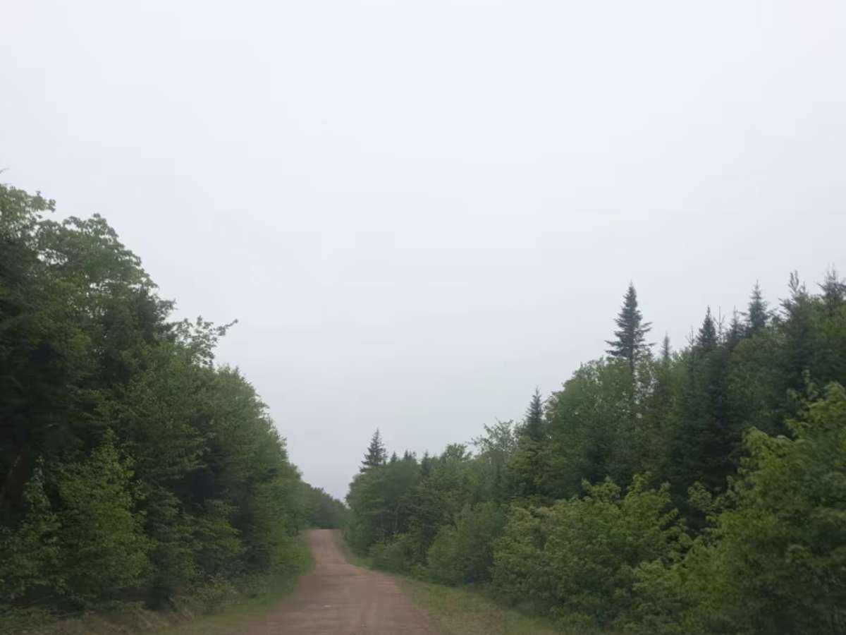 Mackenzie Settlement Road photo 4