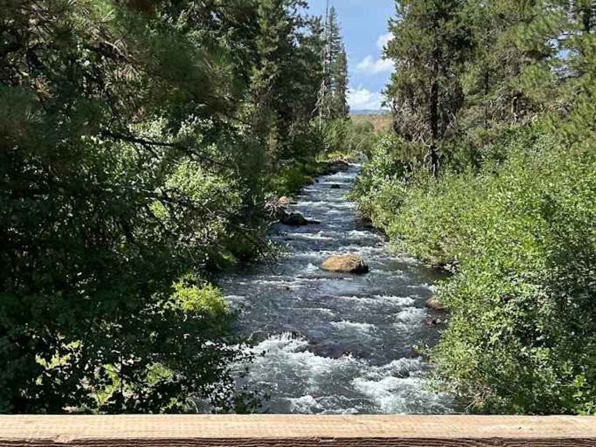 Lost Valley Reservoir Loop photo 6