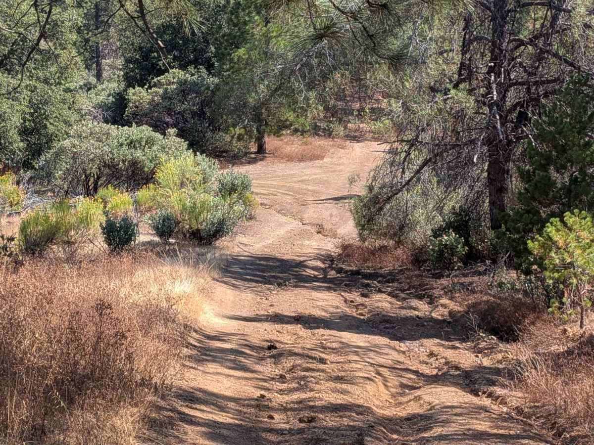 Smith Ridge - FS 1S28 photo 3