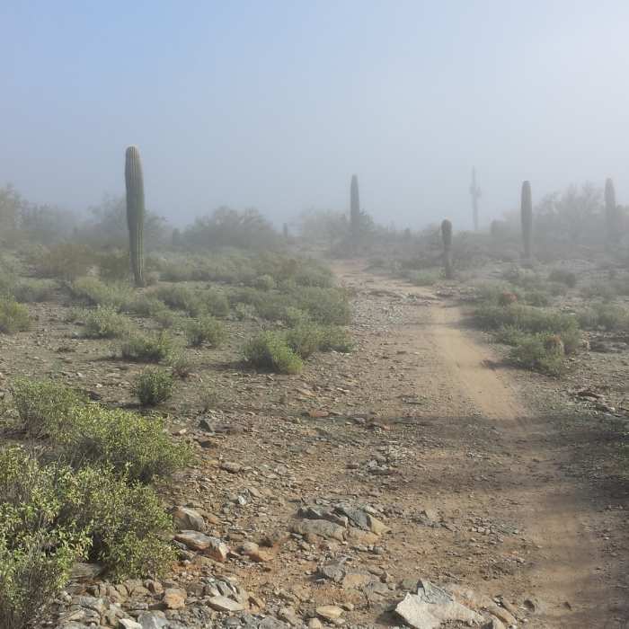 Near Desert Classic Trail