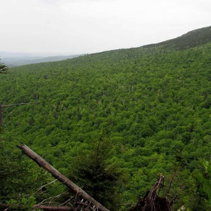 View with a steep dropoff. Near Mowglis Trail