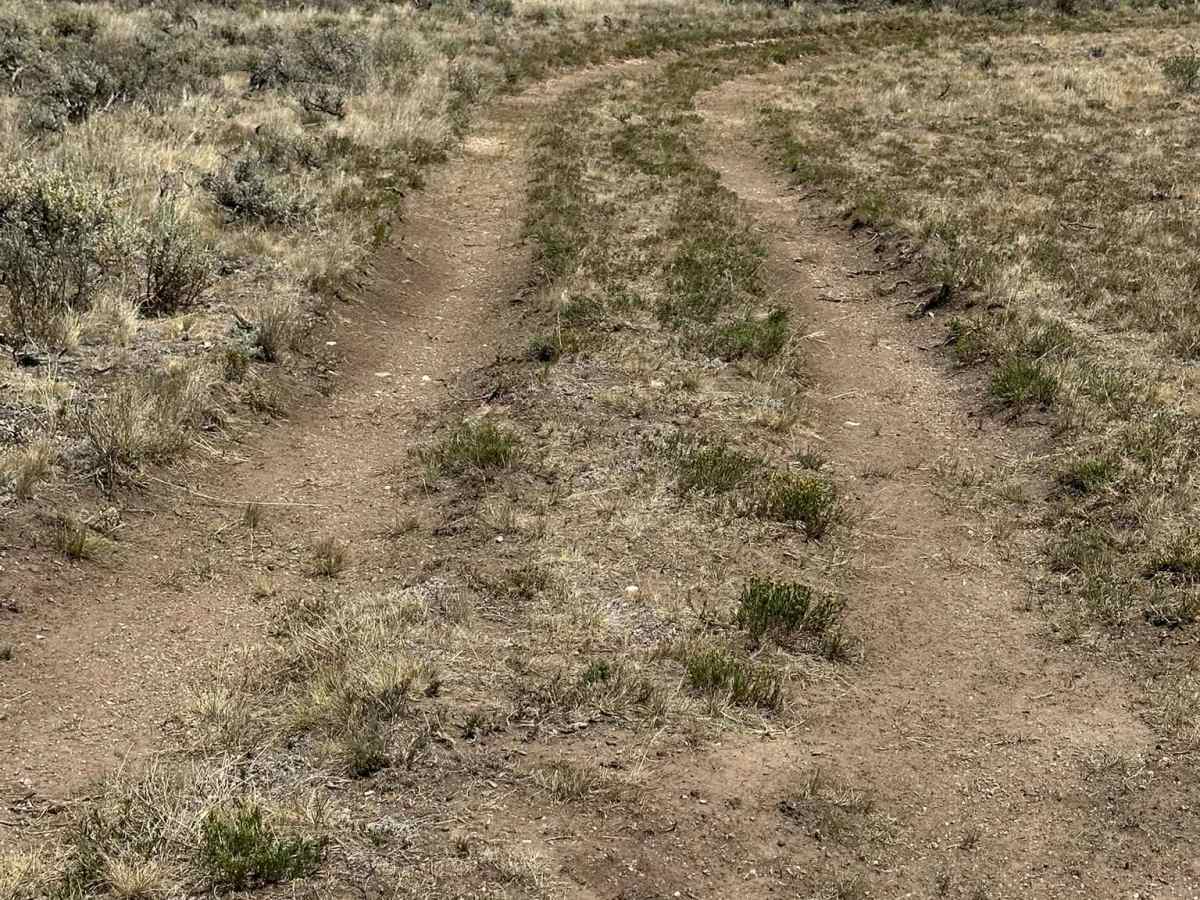 Jensen Creek Ridge Road photo 4