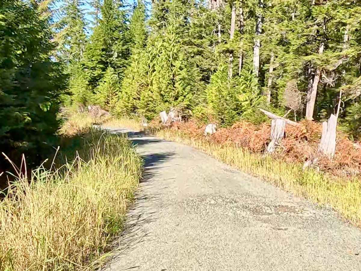 Snakey Lakes River Road - FS 3015200 photo 3