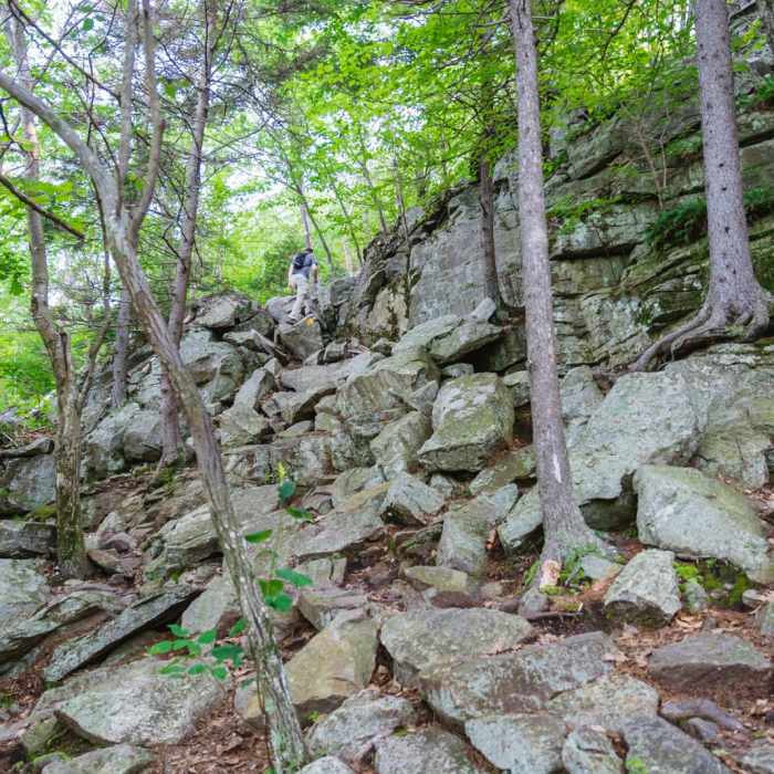 Near Pack Monadnock Loop Near Pack Monadnock Loop