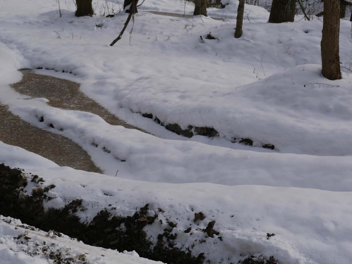 Trail 19 photo 3