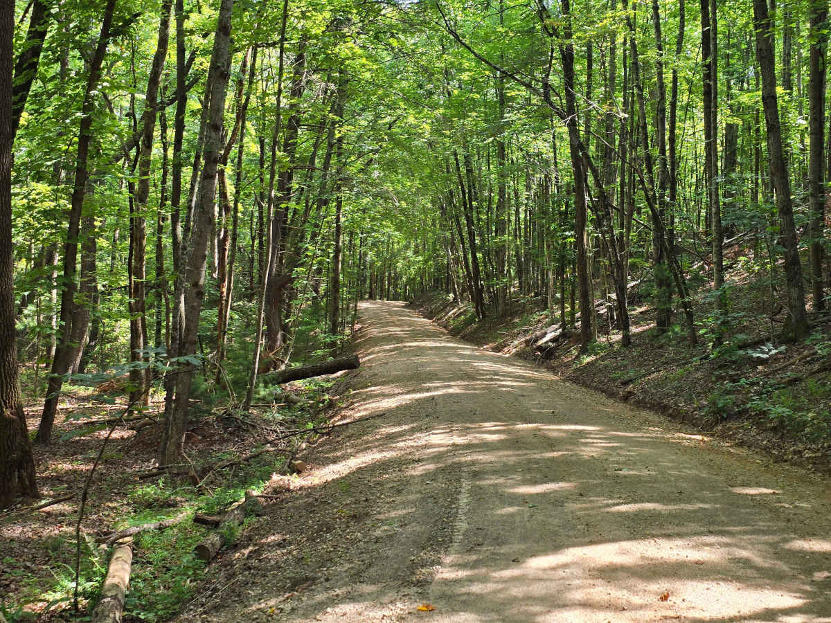 Piney Knob - FS 778 photo 3