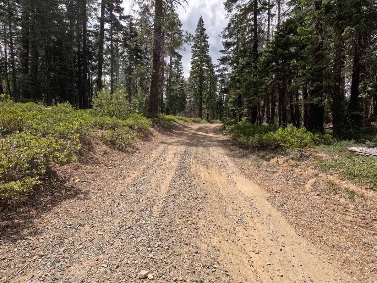 Mule Creek - FS 35N23Y photo 6