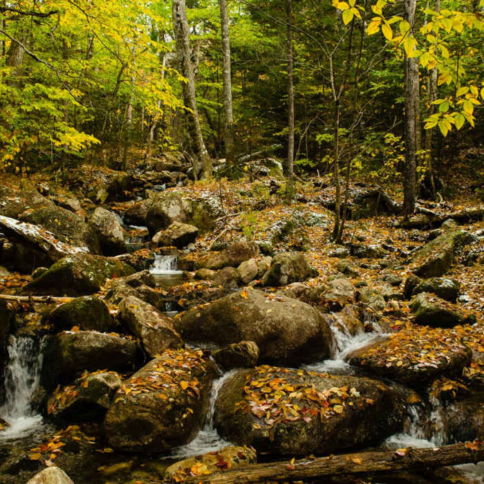 Near Mount Flume + Mount Liberty Loop Near Mount Flume + Mount Liberty Loop