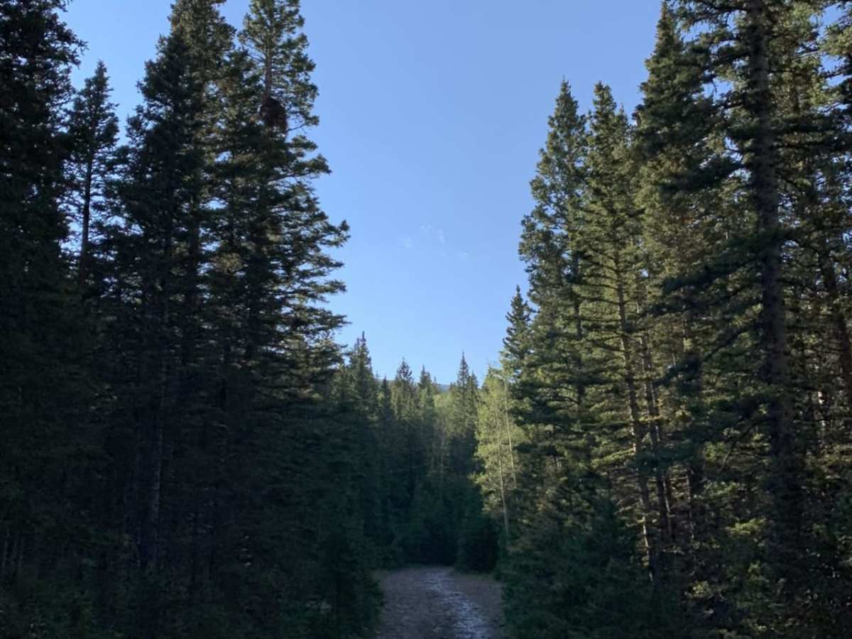 Steep Mountain trail photo