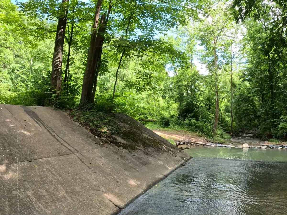 W6C trail photo