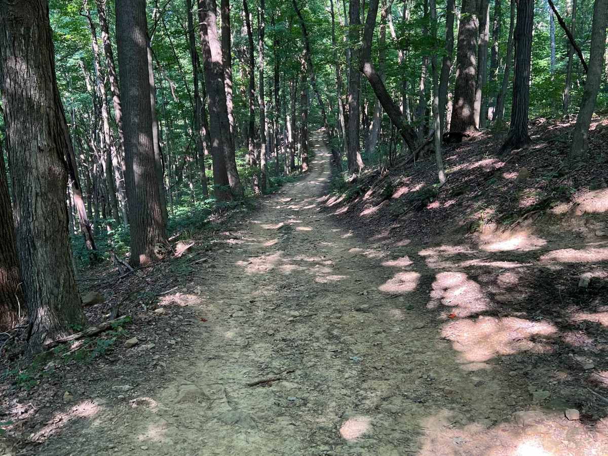 Potter's Hollow photo 3