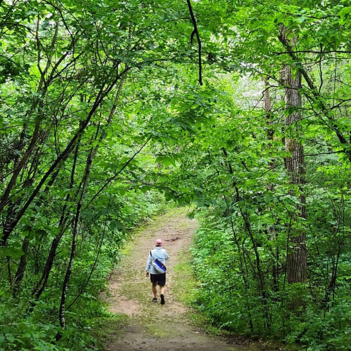 On the Blue Trail Near Yellow Trail