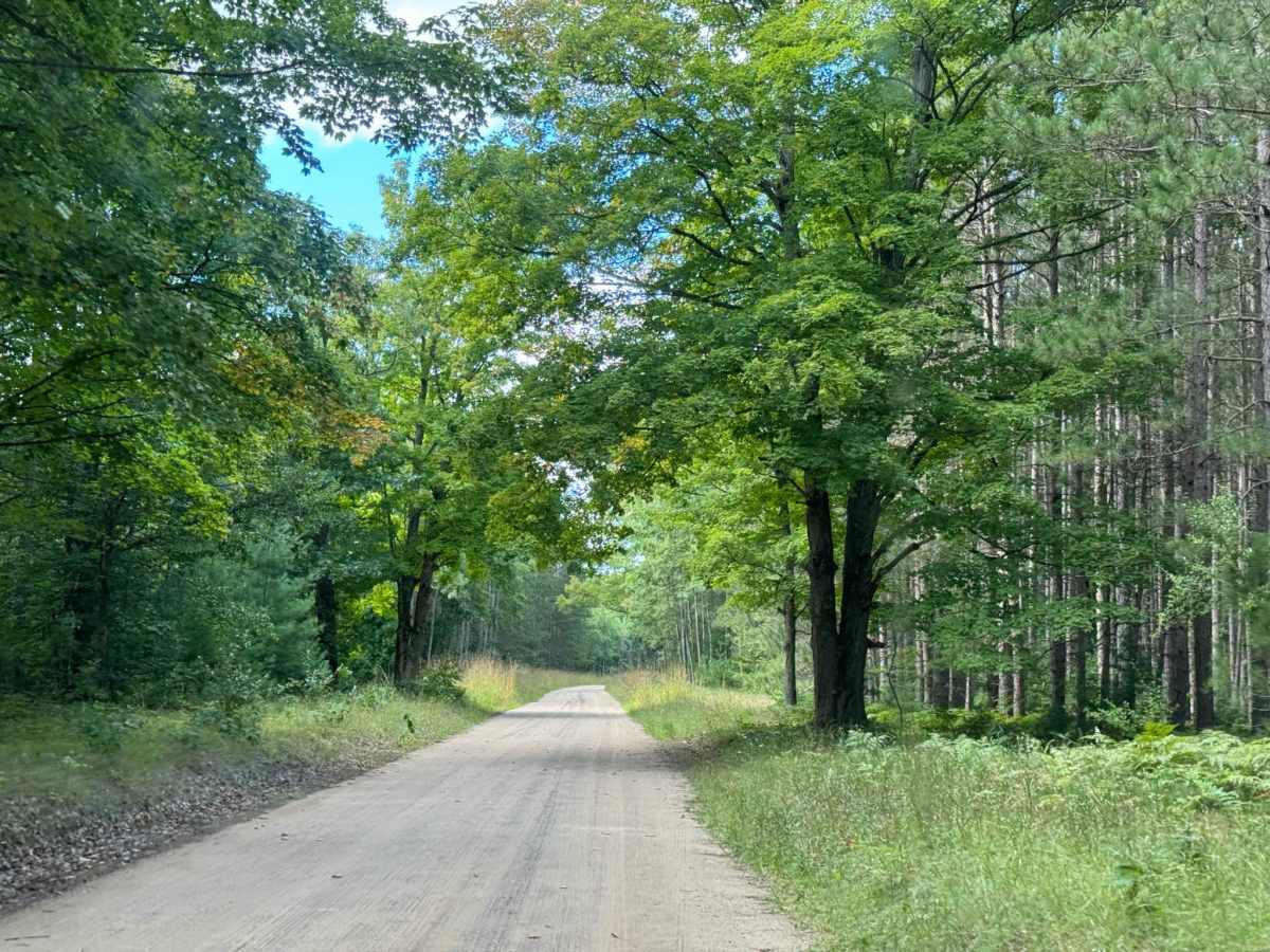 Seaton Creek - FS 9993 photo 5