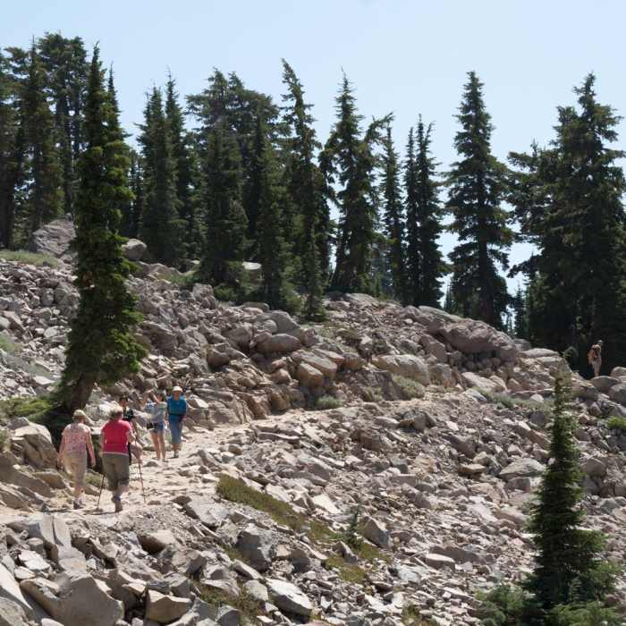 Near Bumpass Hell