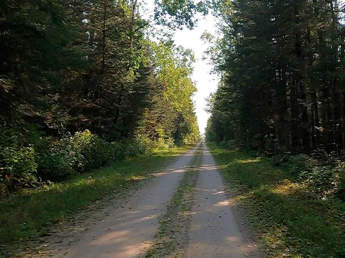 Greene Road - FS 3450  photo 4