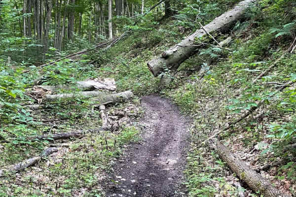 Tomahawk B Loop - Blackberry Ridge Section