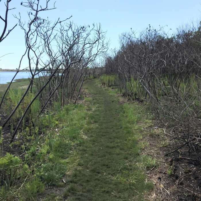 Near Marine Park: West Loop