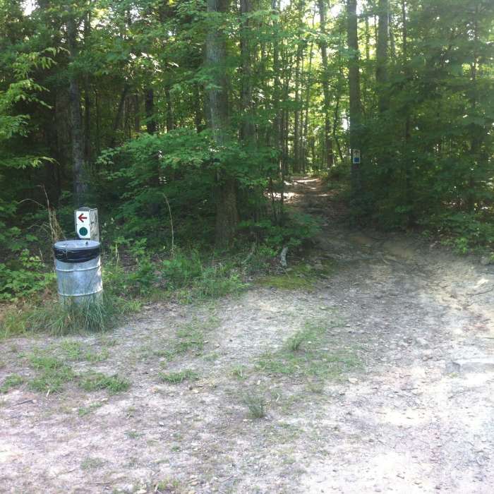 Blue vs Green split #2 Near Main Loop Trail