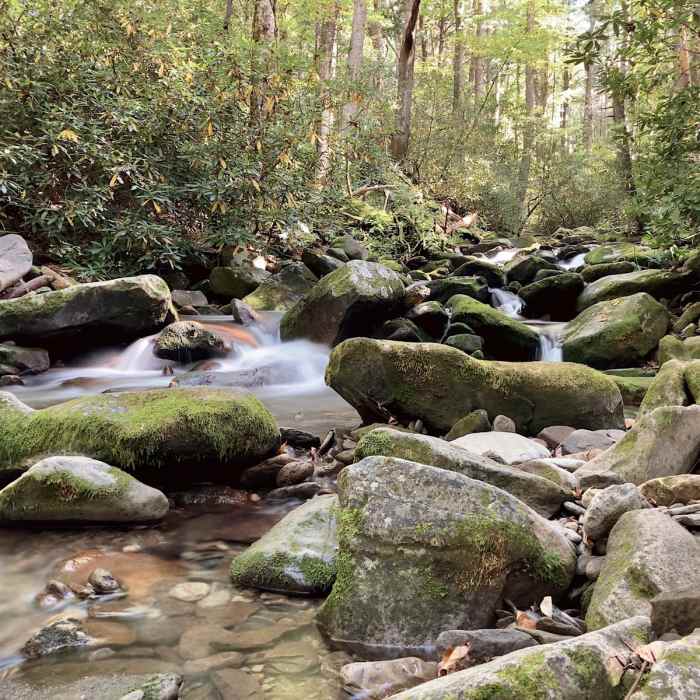 Near Cosby Nature Trail Near Cosby Nature Trail