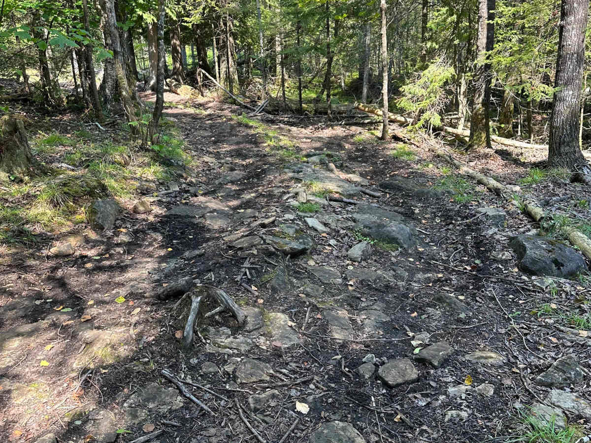 Less Traveled  trail photo