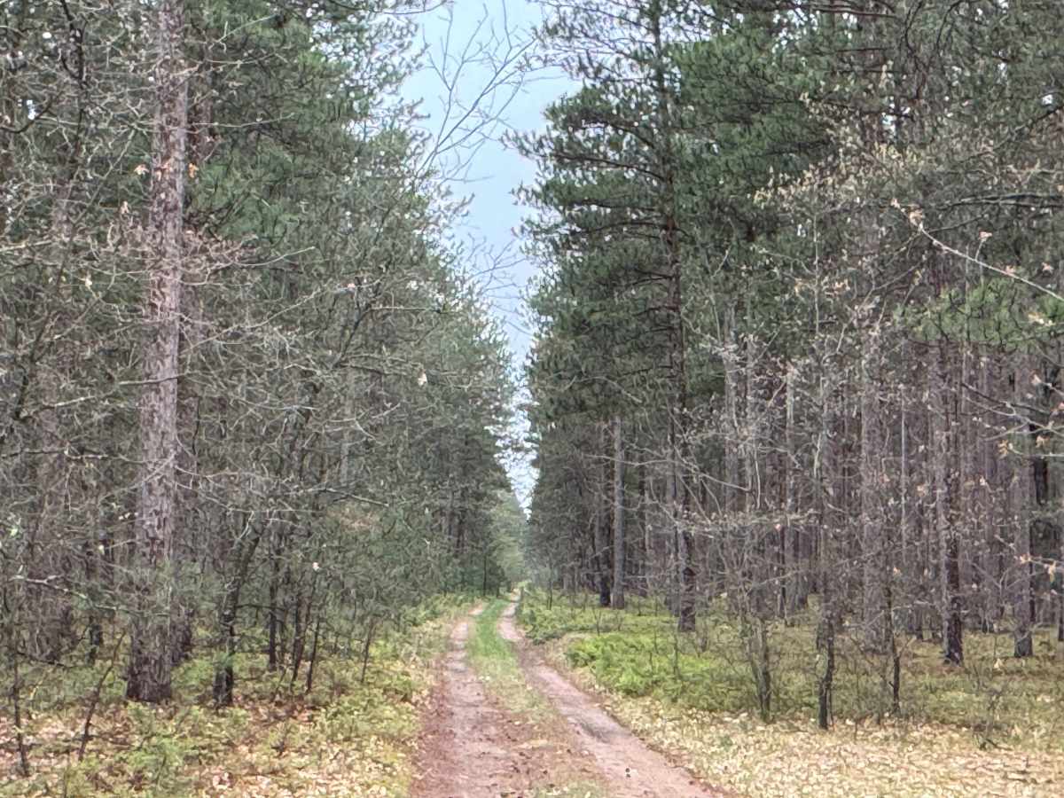 FS4504 photo 6