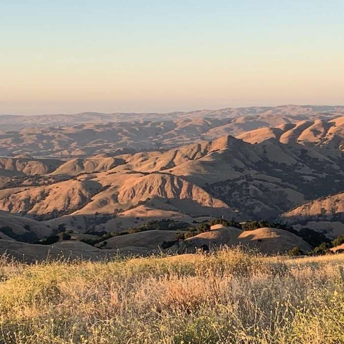 Near Ohlone Wilderness Trail / Hidden Valley Trail