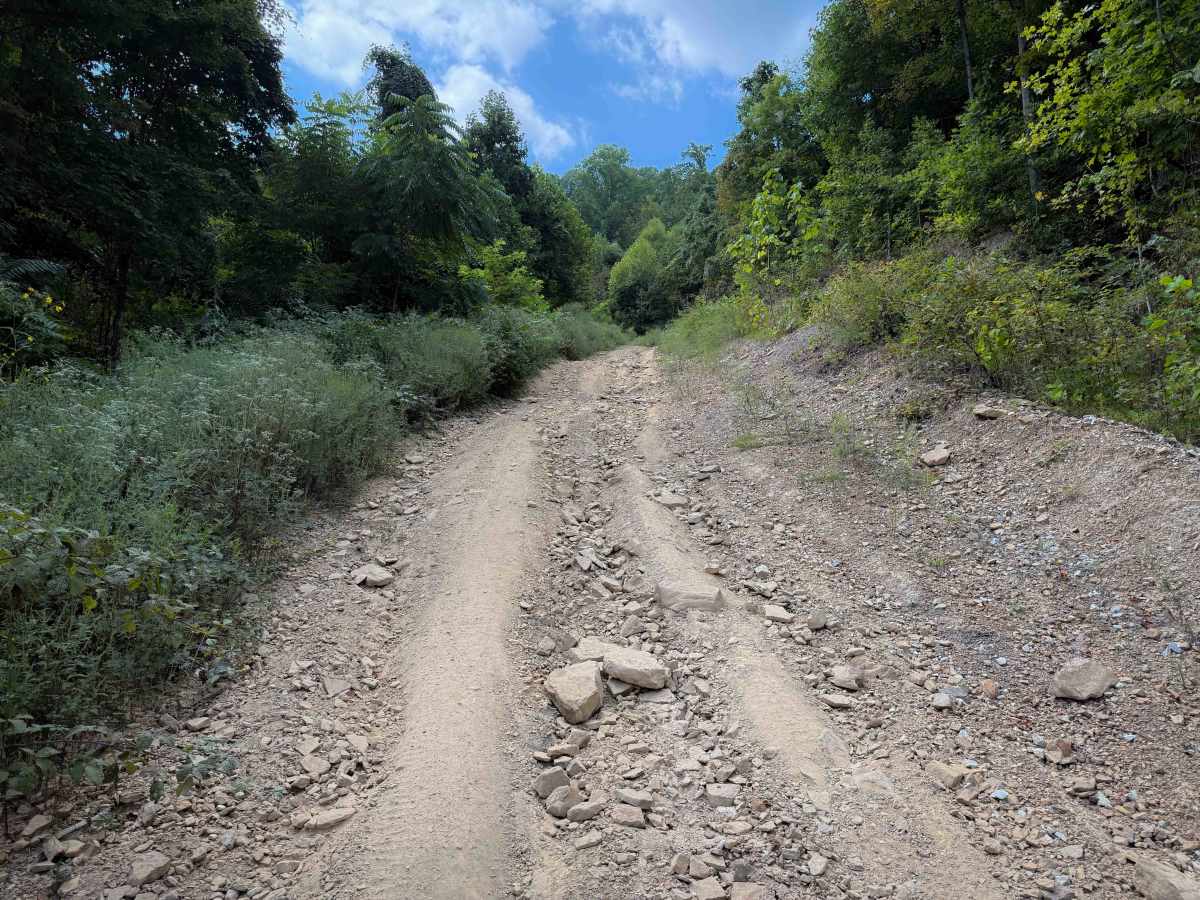 Shack Creek Road   photo 5