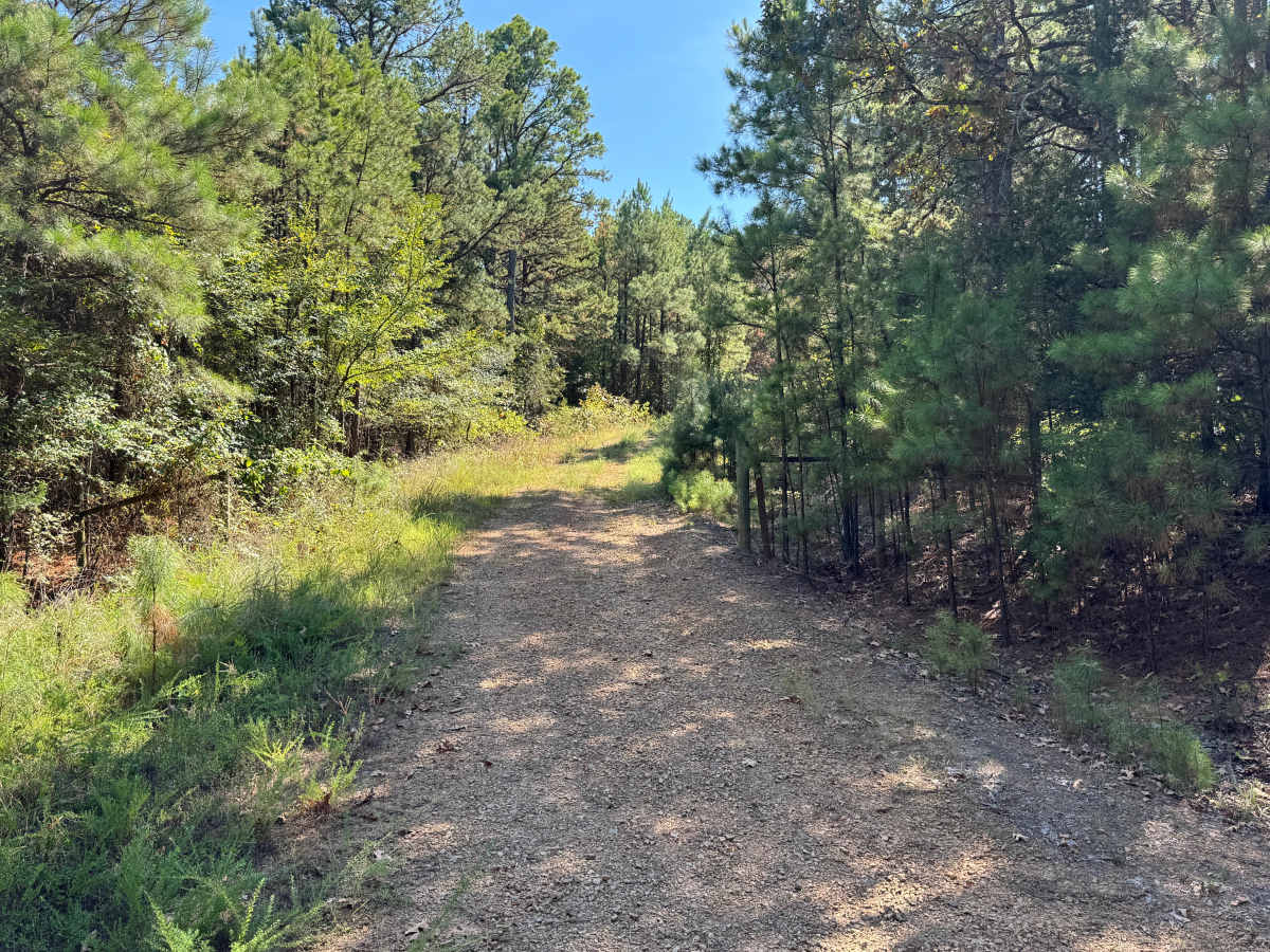 Upper Brock trail photo