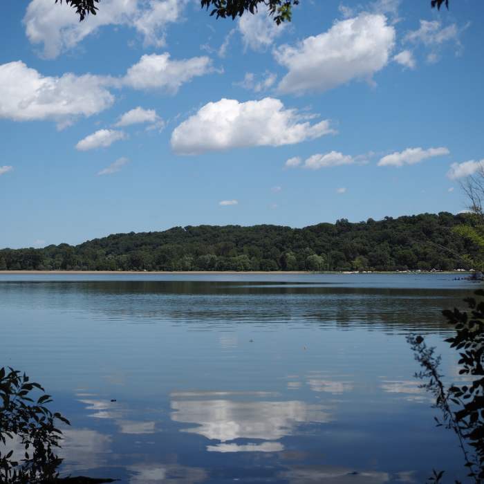 Near Meadows Loop Trail