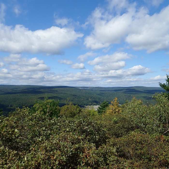 Near Shawangunk Ridge Trail: Wurtsboro Ridge Section
