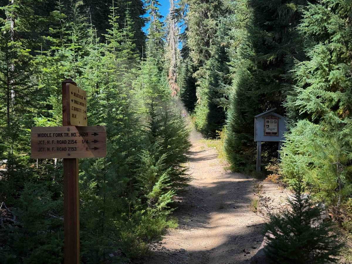 June Lake Trail  trail photo