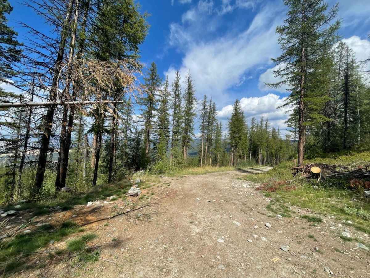South Ambrose trail photo