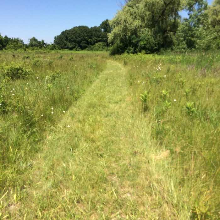 The pathway on the Prairie Trail Near Prairie Pathway