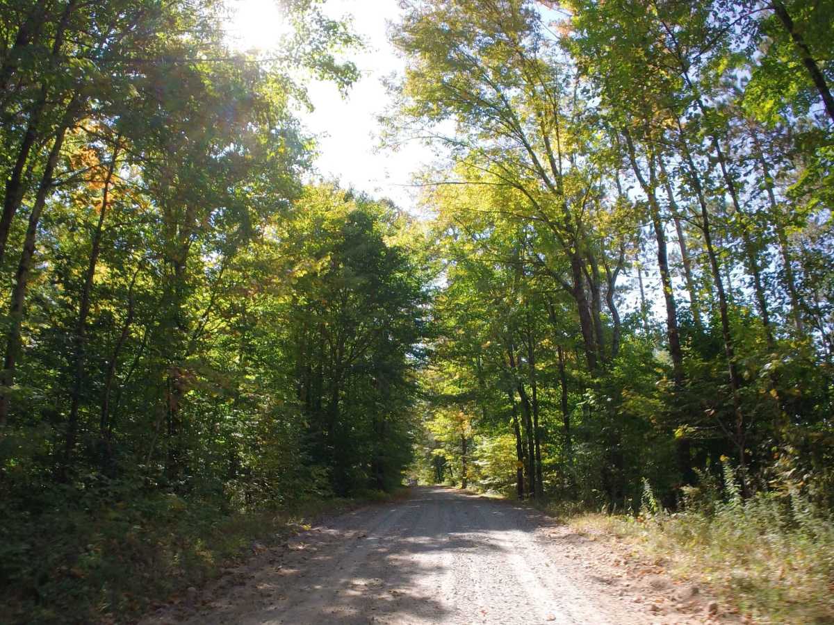 St. Lawrence County Multi-Use Trail - Southern Section photo 6