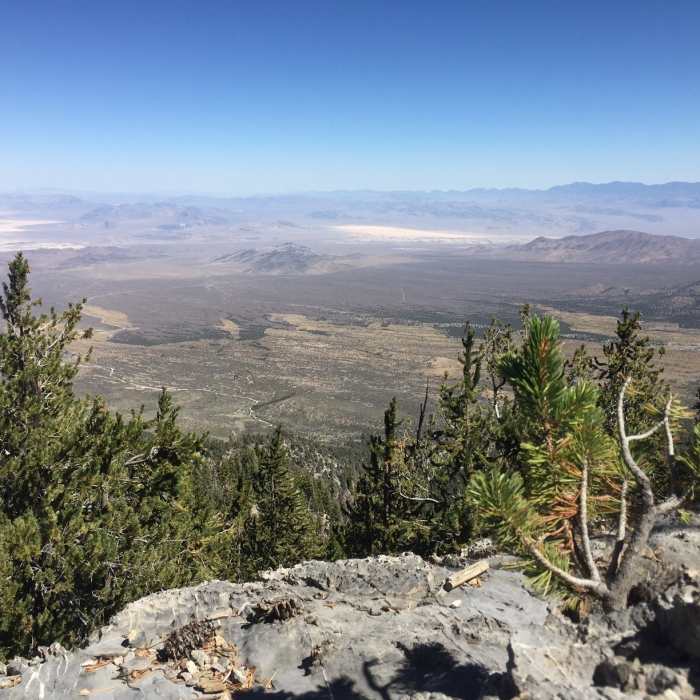 Near Bonanza Peak Out and Back