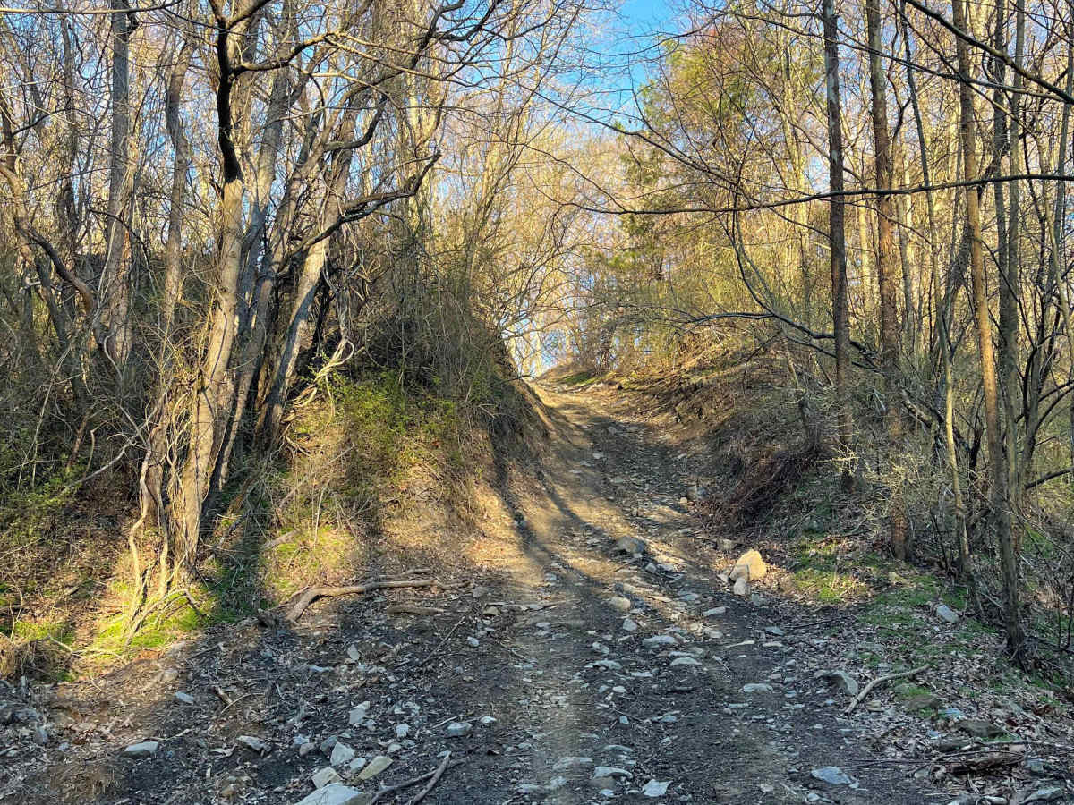 South Boundary Trail photo 6