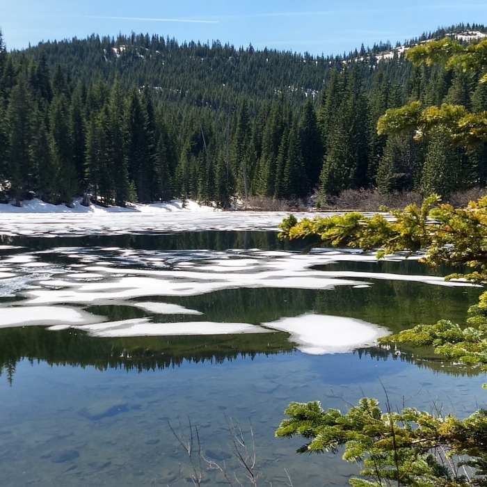 Near Burnt Lake Trail #772