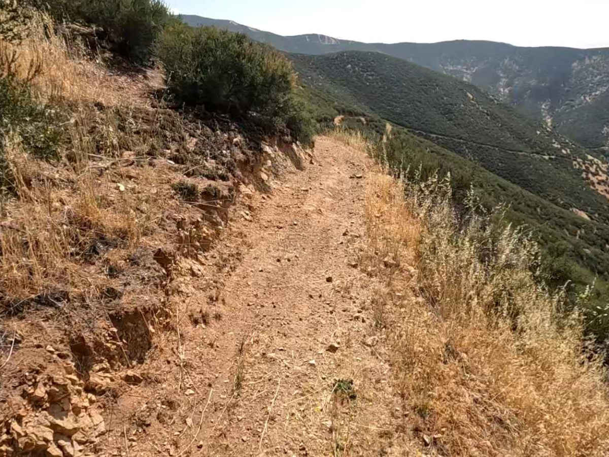 Sidewinder OHV Trail photo 2