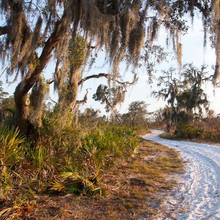 Near Gopher Trail and Persimmon Loop