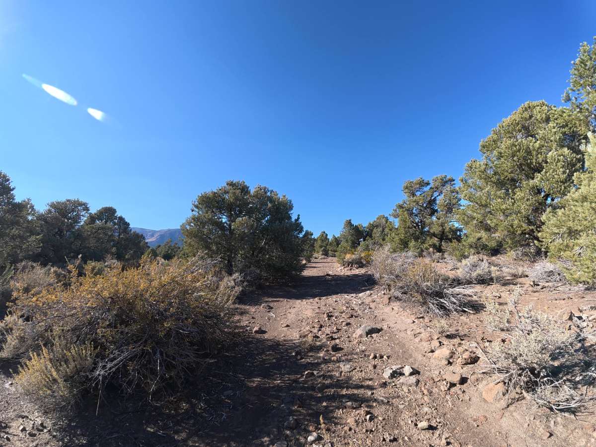 Loop Road K photo 4