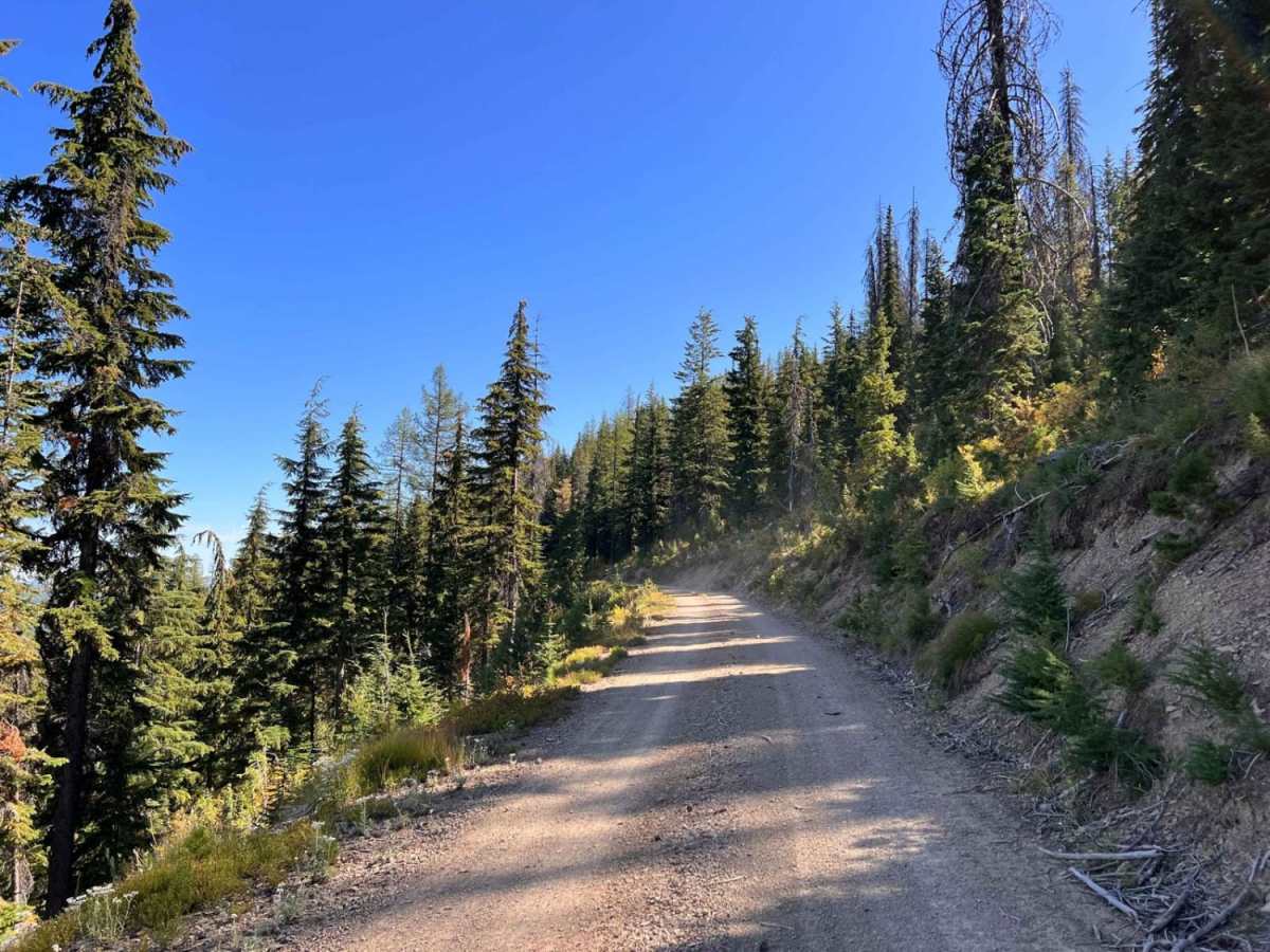 Lone Cliff Cutover photo 6