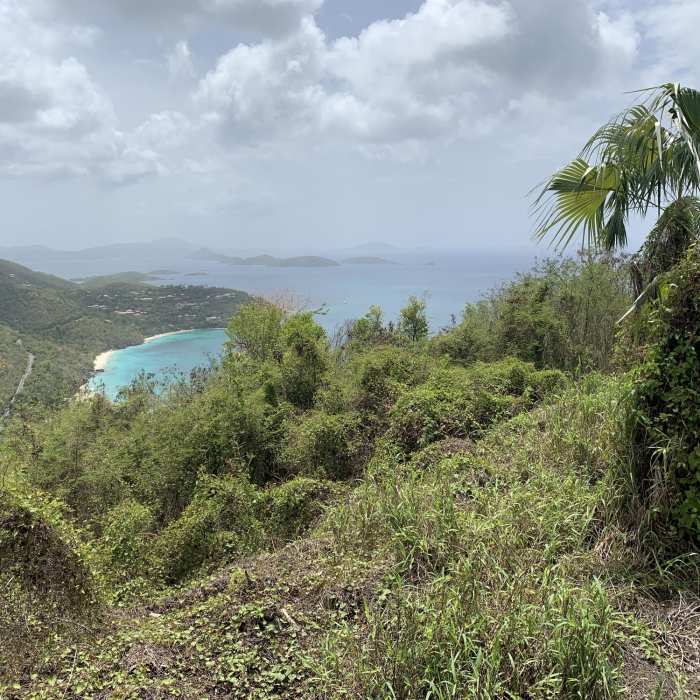 View from American factory ruins towards Cinnamon Bay. Near Cinnamon Bay Trail