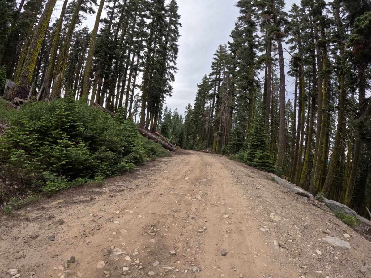 Mohawk Chapman Road - FS 22N98 photo 6