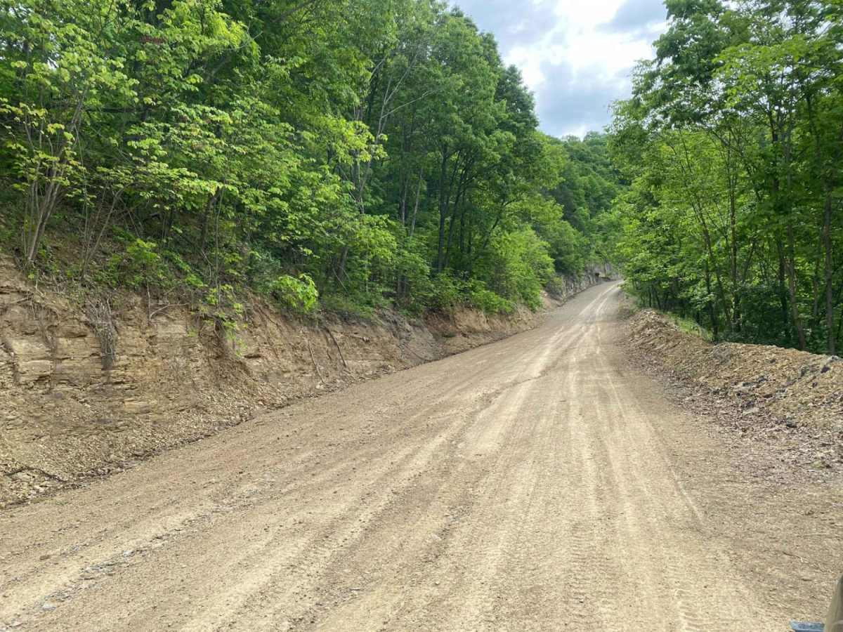 Trail 23 - Flatwoods Road photo 4