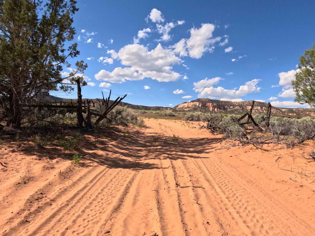 BLM 33 photo 3