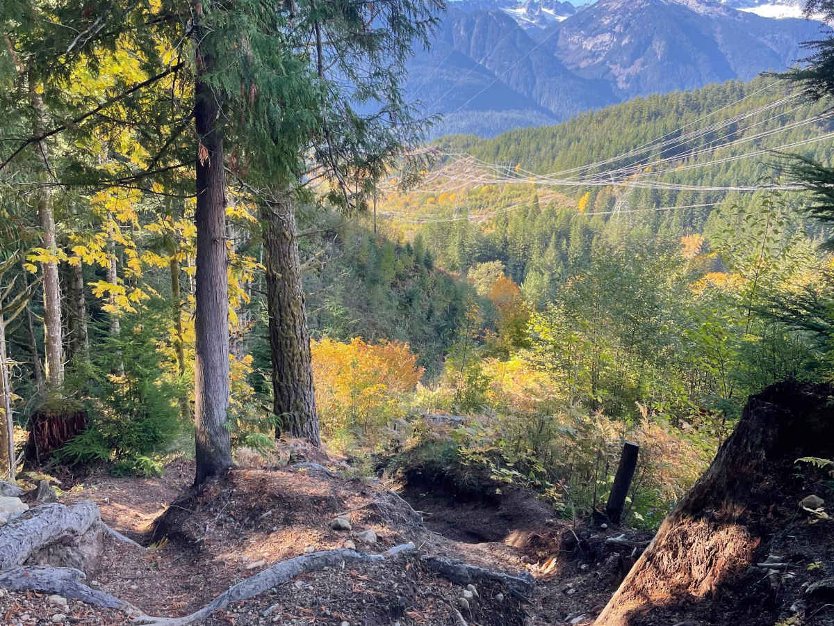 Itchy and Scratchy trail photo