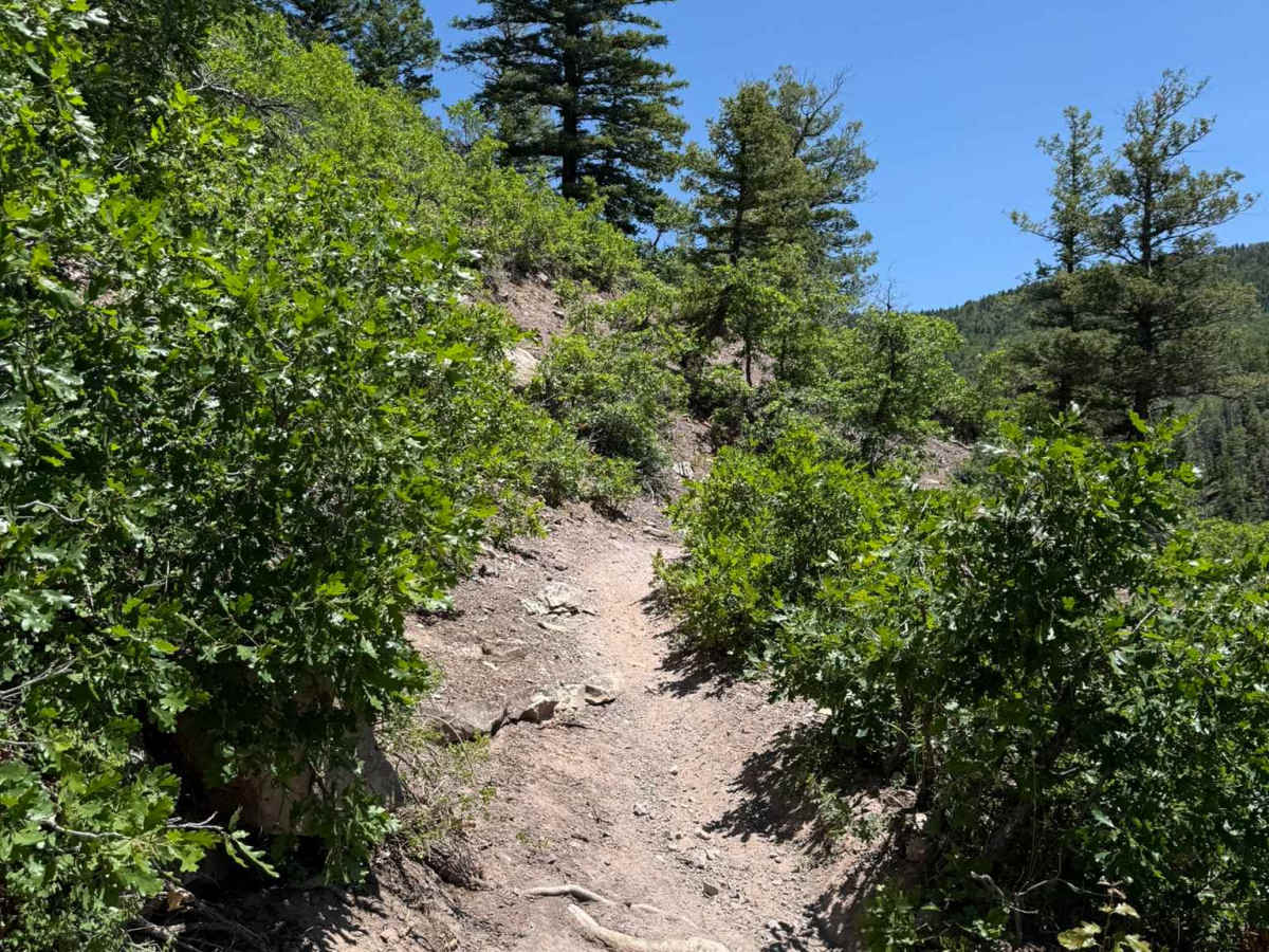Red Ledges Trail No. 019 photo 5