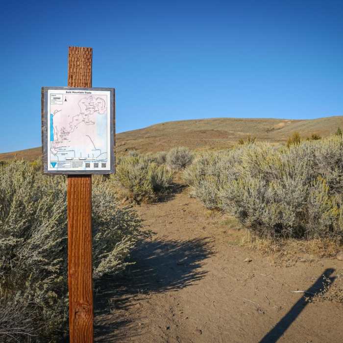 Near Bald Mountain Loops